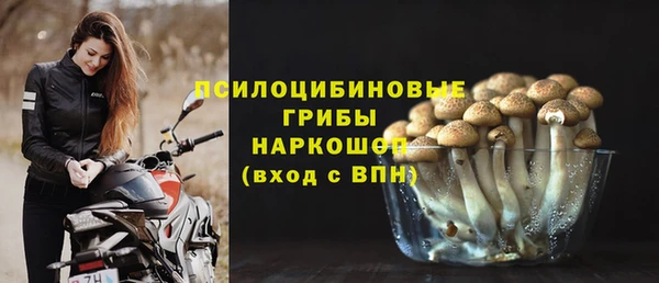 хмурый Алексин