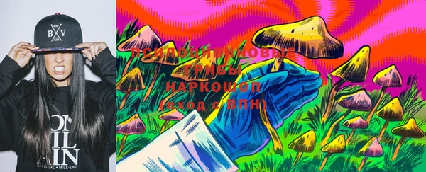 хмурый Алексин