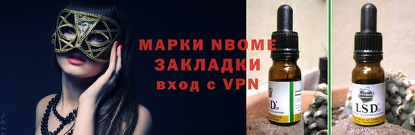 хмурый Алексин