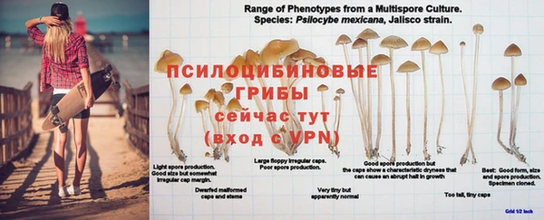 хмурый Алексин