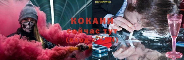 хмурый Алексин