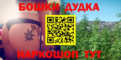 бошки Ставрополь