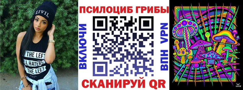 Псилоцибиновые грибы Psilocybe Сокол