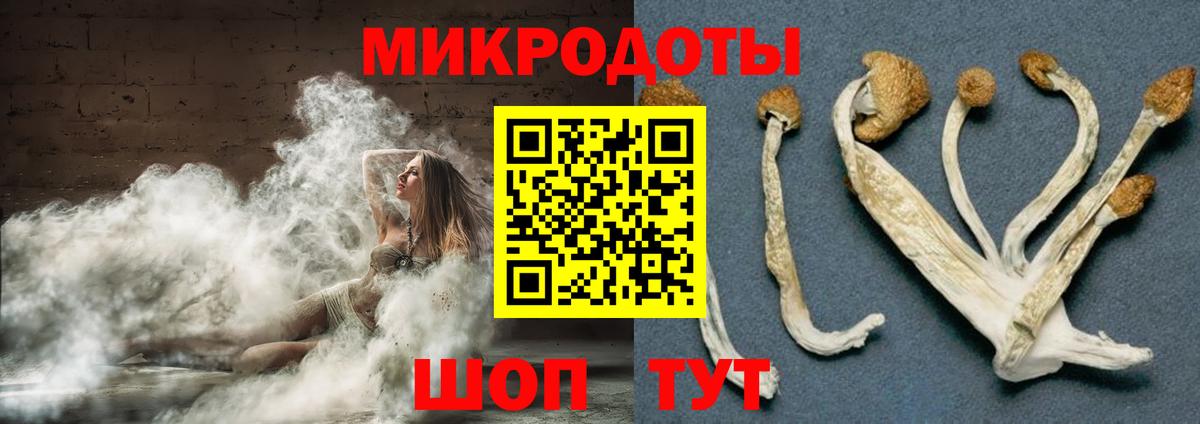 Псилоцибиновые грибы Magic Shrooms Сокол