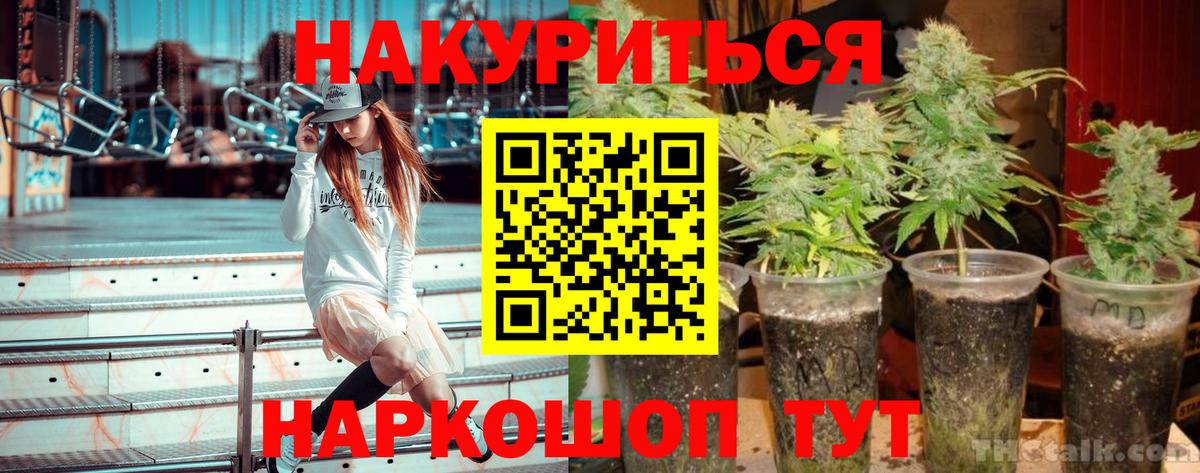Канабис марихуана  Канабис гибрид  Сокол  Вход с VPN 